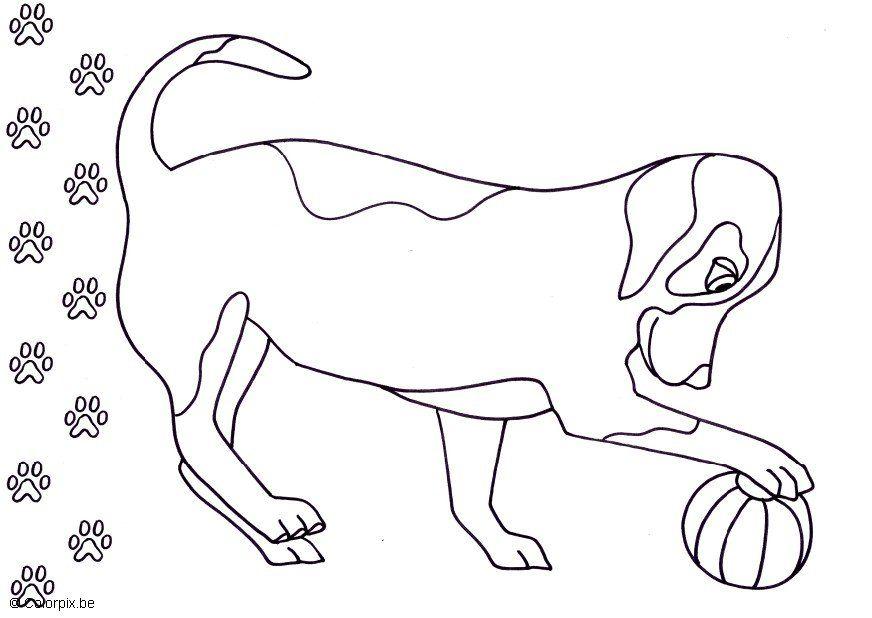 cachorro Página para colorir cachorro