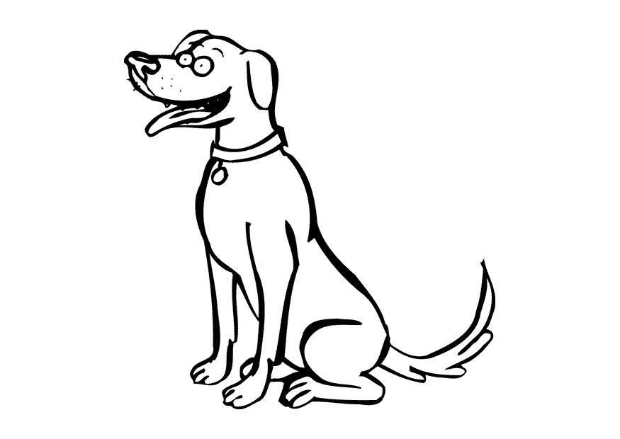 cachorro Página para colorir cachorro