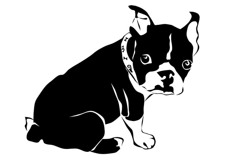 cachorro - buldogue francAªs Página para colorir cachorro - buldogue francAªs