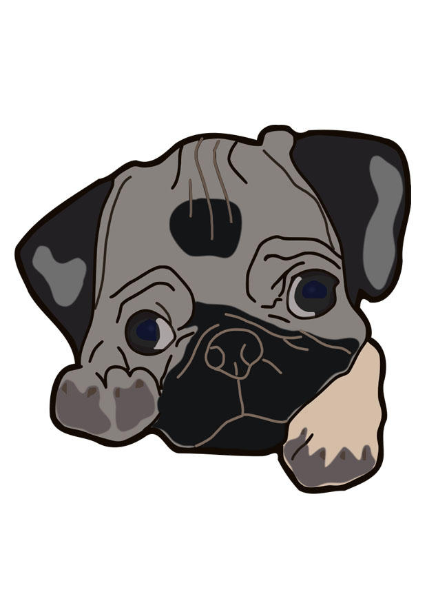 cachorro - pug imagem cachorro - pug