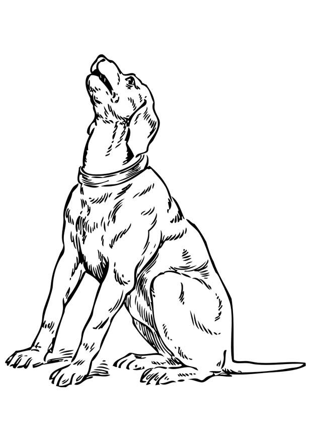 Página para colorir cachorro uivando