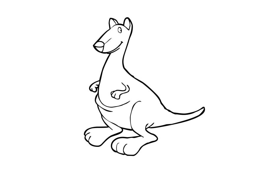 canguru Página para colorir canguru