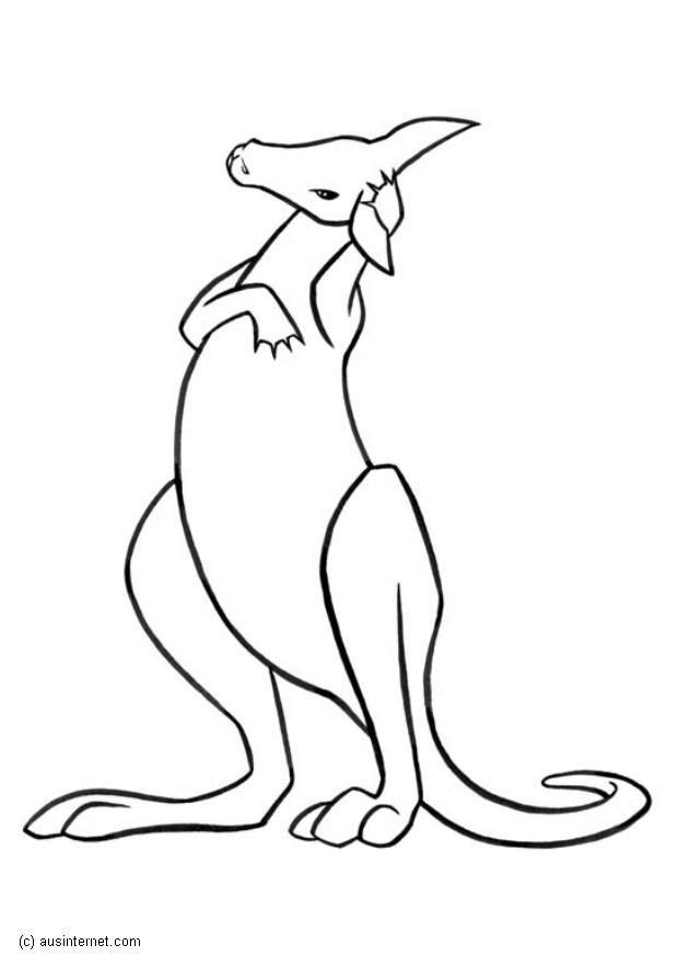 canguru Página para colorir canguru