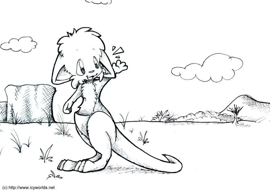 canguru Página para colorir canguru