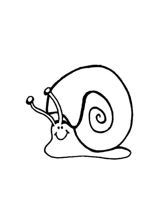 caracol Página para colorir caracol