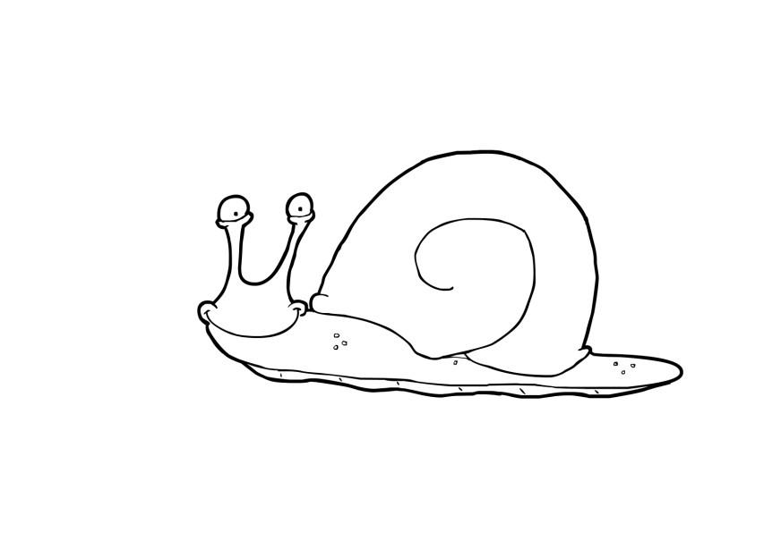 caracol Página para colorir caracol