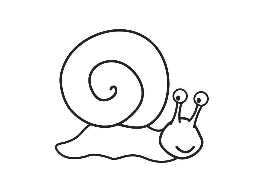 caracol Página para colorir caracol