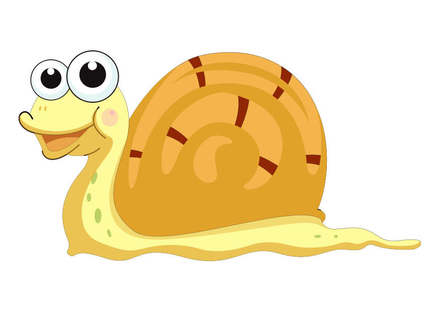 caracol imagem caracol