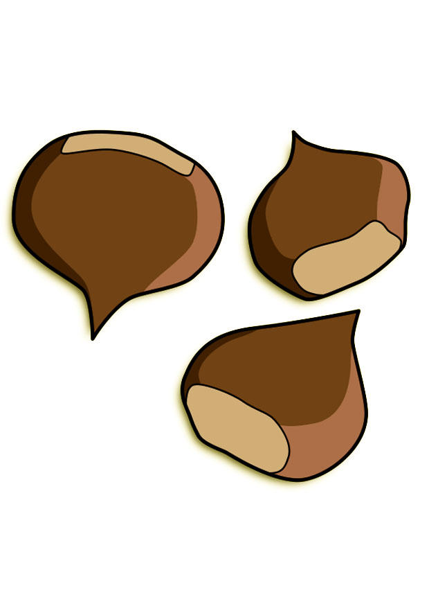 castanhas imagem castanhas