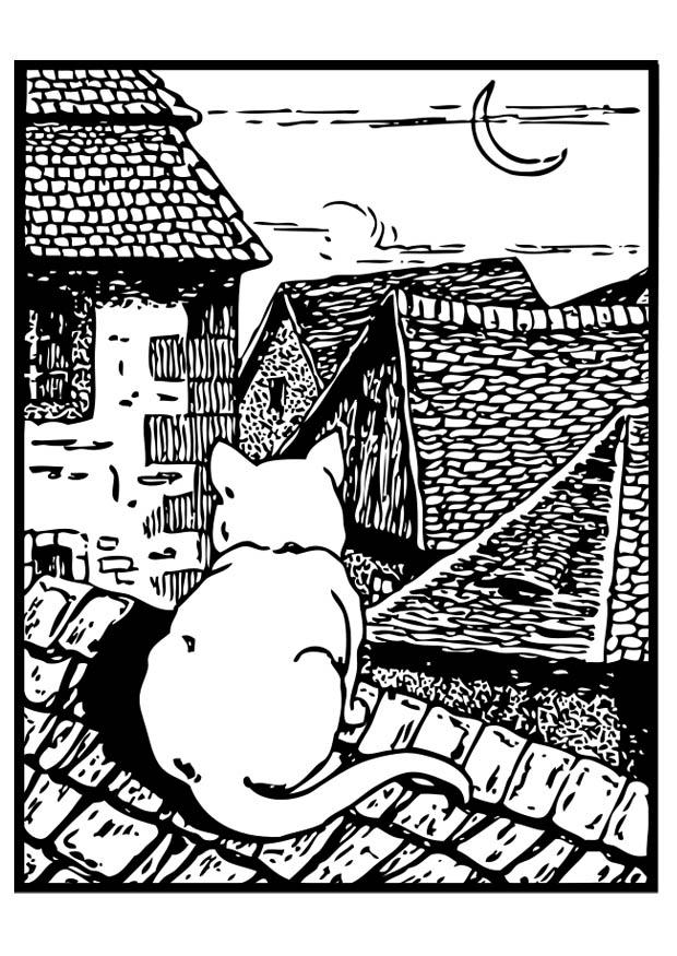 cato no telhado Página para colorir cato no telhado