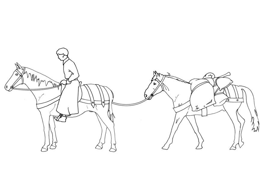 cavaleiro e bagagem Página para colorir cavaleiro e bagagem