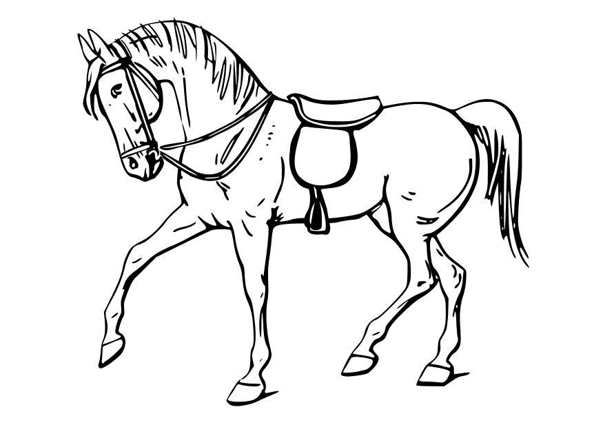 cavalo Página para colorir cavalo