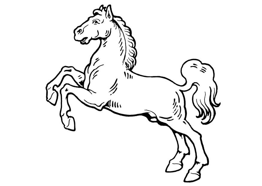 cavalo Página para colorir cavalo