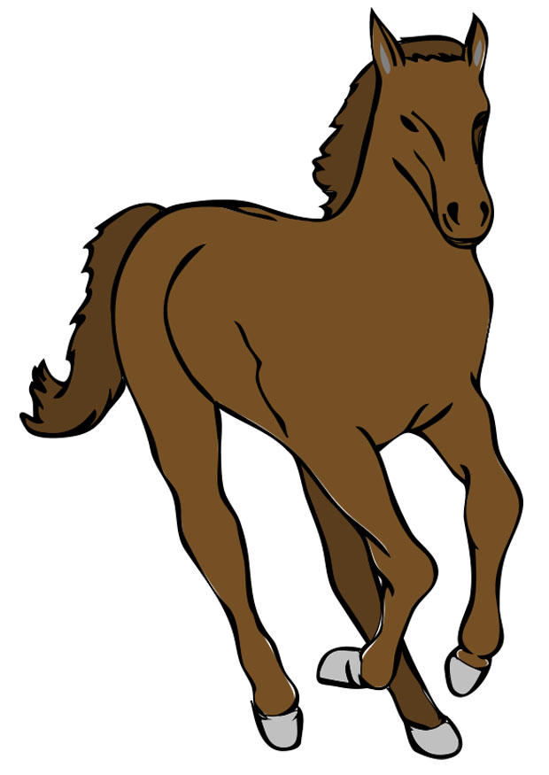 cavalo imagem cavalo