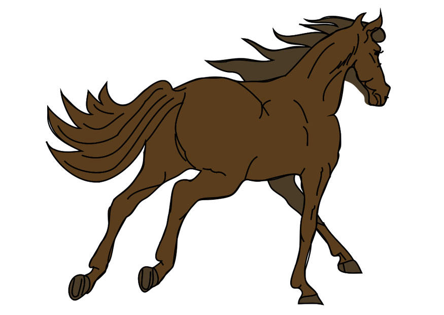 cavalo imagem cavalo
