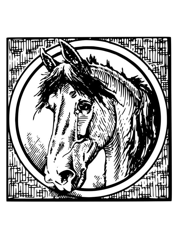 cavalo Página para colorir cavalo