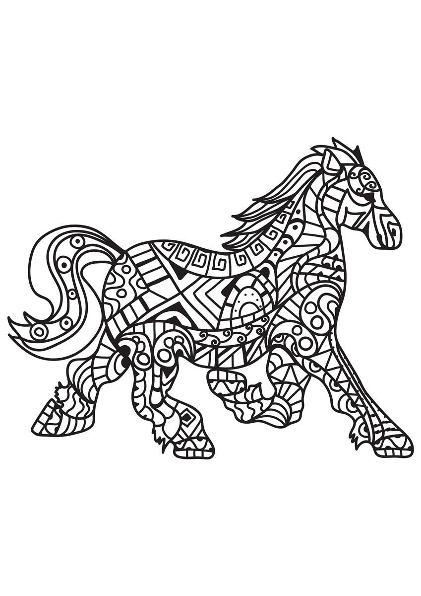 cavalo Página para colorir cavalo