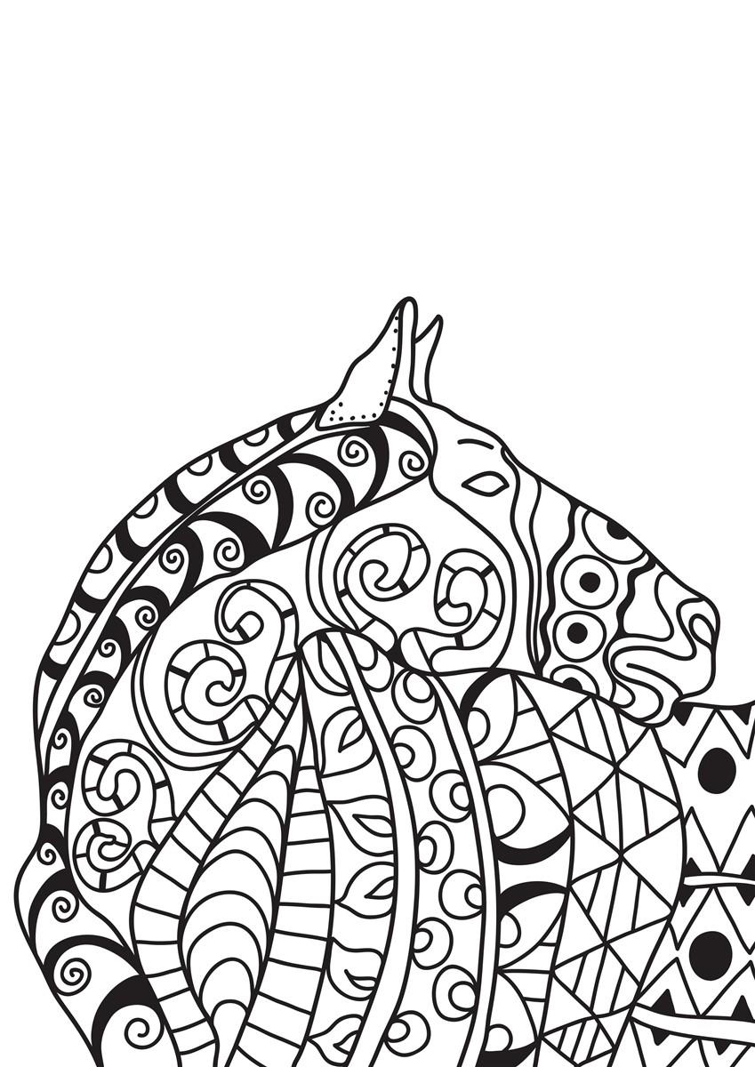 cavalo Página para colorir cavalo