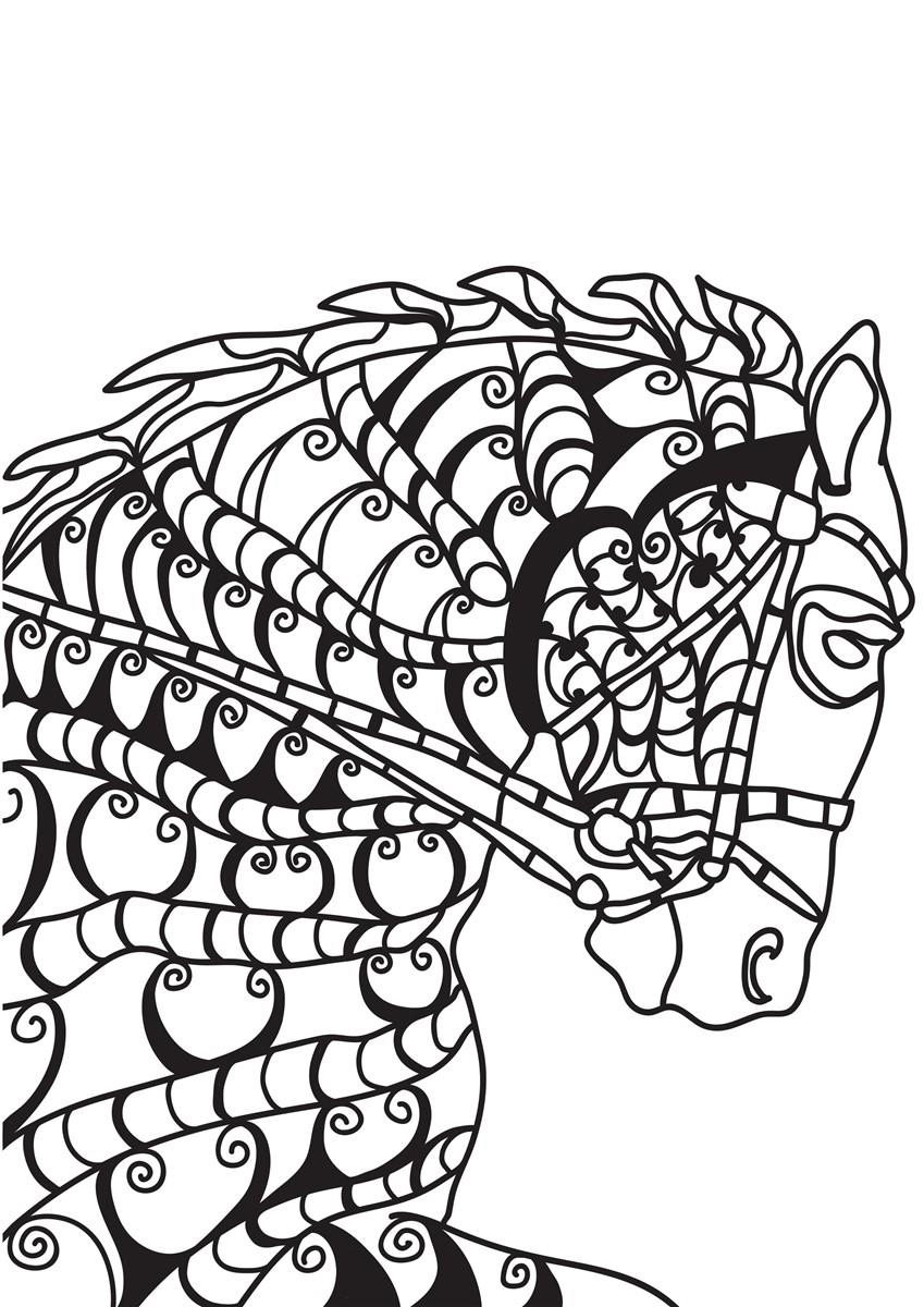 cavalo Página para colorir cavalo