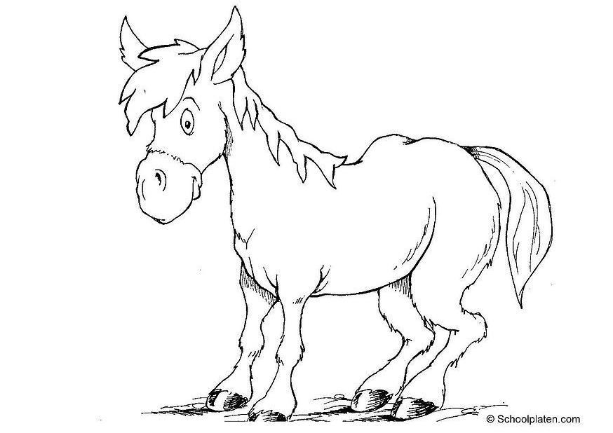 cavalo Página para colorir cavalo