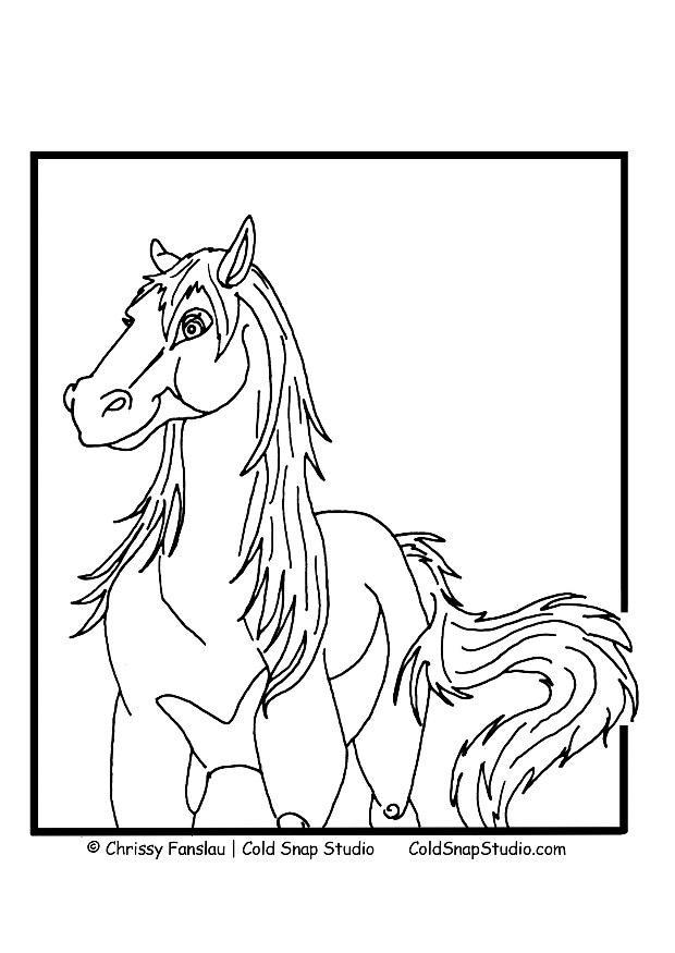 cavalo Página para colorir cavalo
