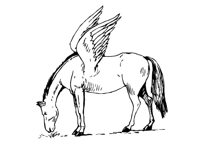 cavalo alado Página para colorir cavalo alado