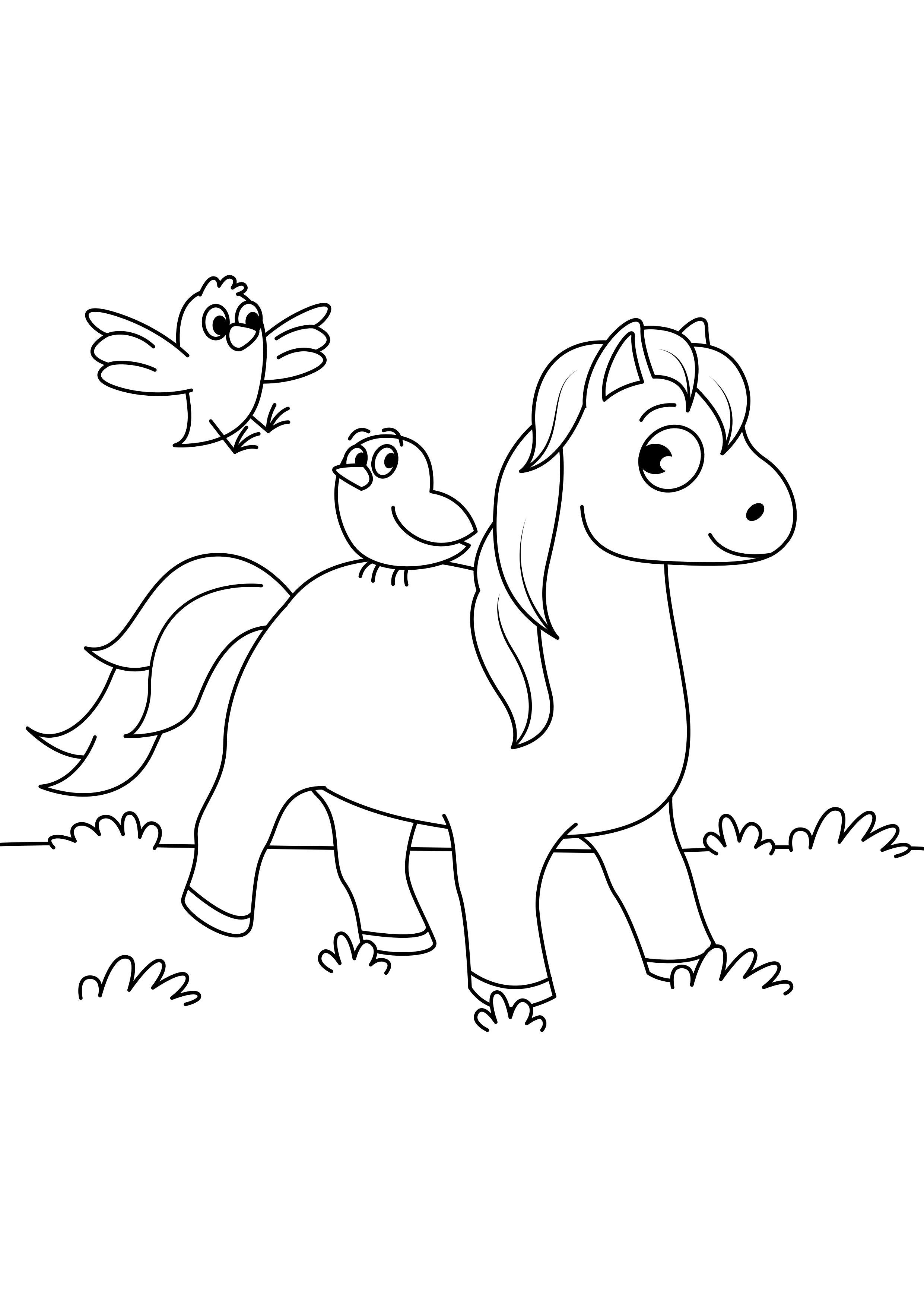 cavalo com pA¡ssaros Página para colorir cavalo com pA¡ssaros