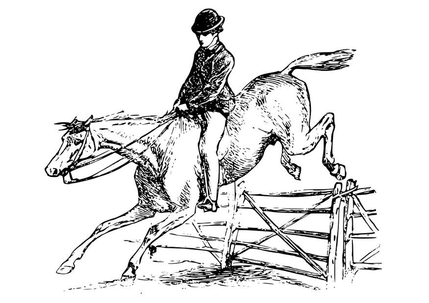 cavalo e cavaleiro Página para colorir cavalo e cavaleiro