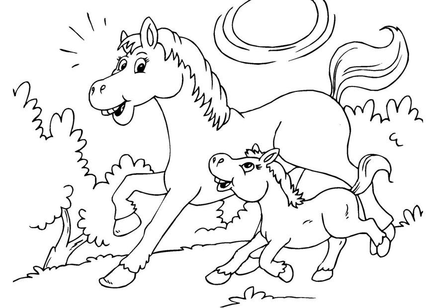 cavalo e potro Página para colorir cavalo e potro