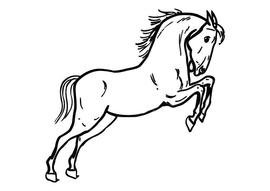cavalo empinando Página para colorir cavalo empinando