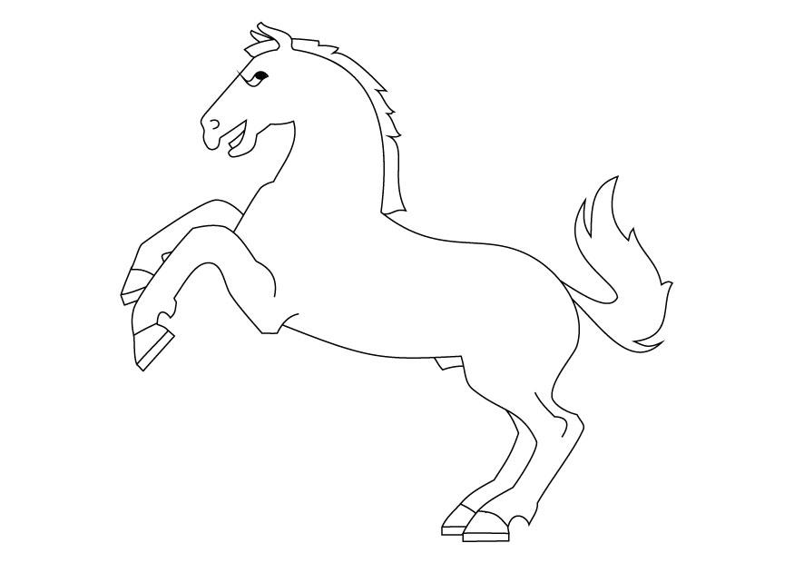 Página para colorir cavalo empinando