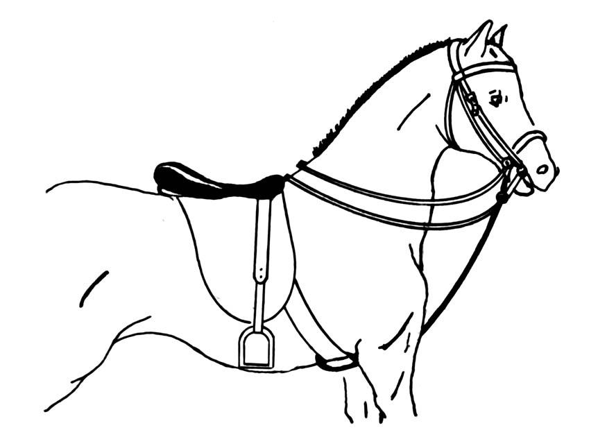 cavalo encilhado Página para colorir cavalo encilhado