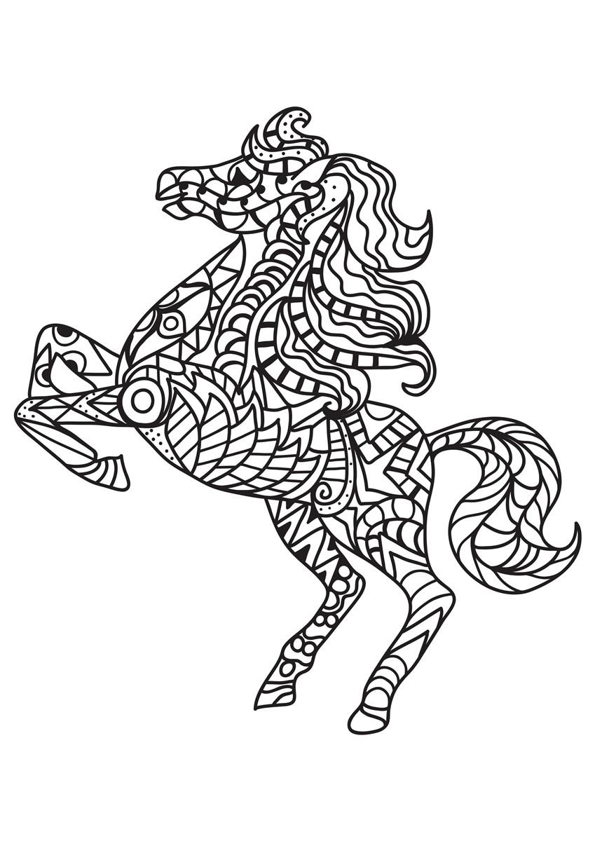 cavalo traseiro Página para colorir cavalo traseiro
