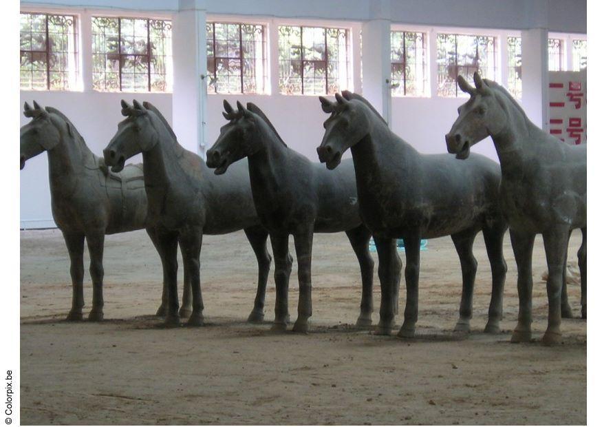 cavalos xian Foto cavalos xian