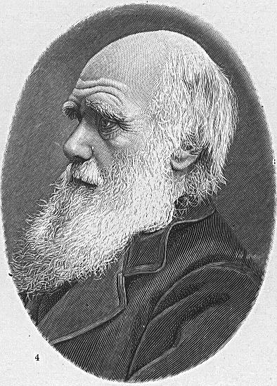 charles darwin Página para colorir charles darwin
