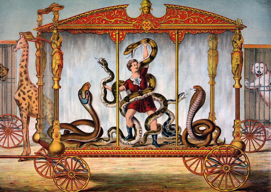 circo imagem circo