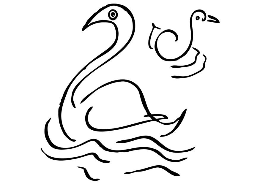 cisne Página para colorir cisne