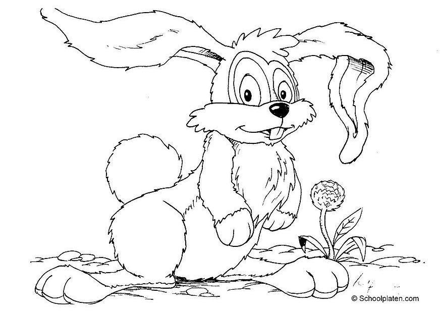 coelho Página para colorir coelho