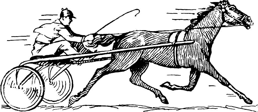 corrida de cavalos Página para colorir corrida de cavalos