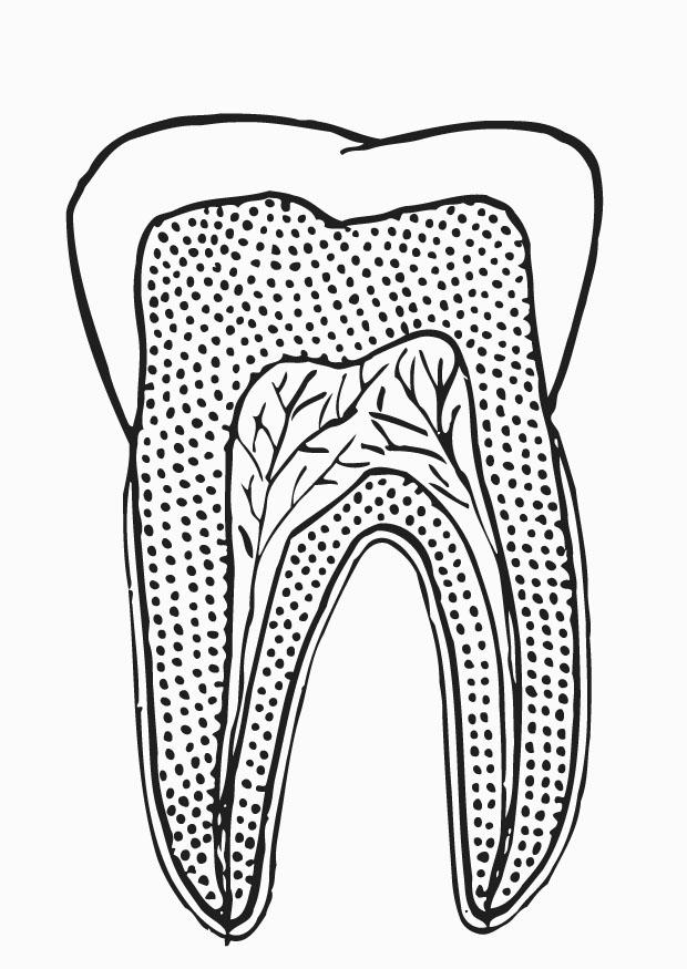 corte de um dente Página para colorir corte de um dente