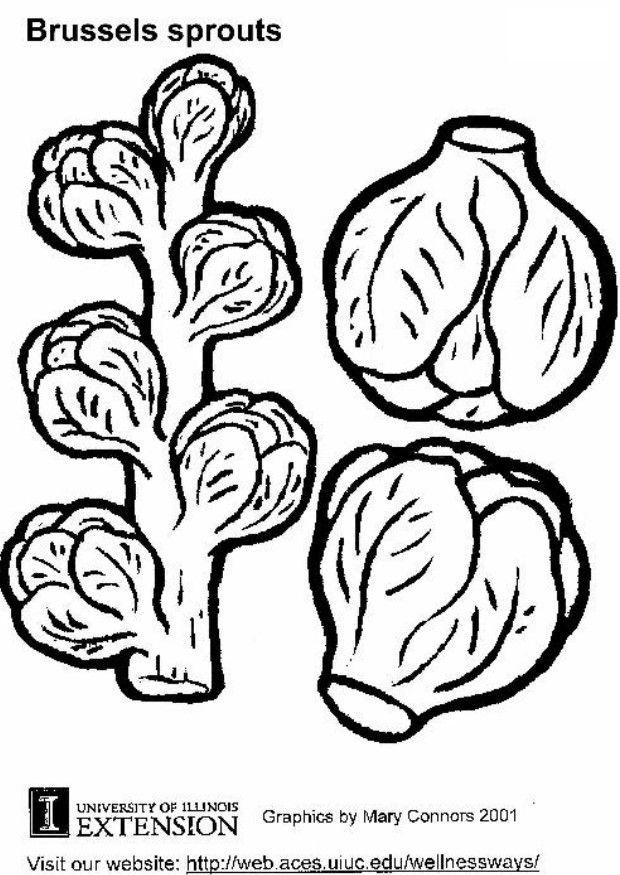 couve de bruxelas Página para colorir couve de bruxelas