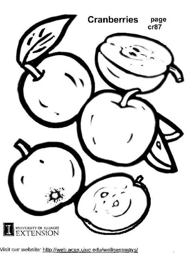 cranberries Página para colorir cranberries