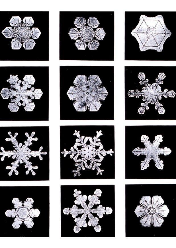 Foto cristais de neve
