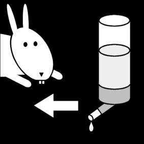 dar A¡gua ao coelho Página para colorir dar A¡gua ao coelho