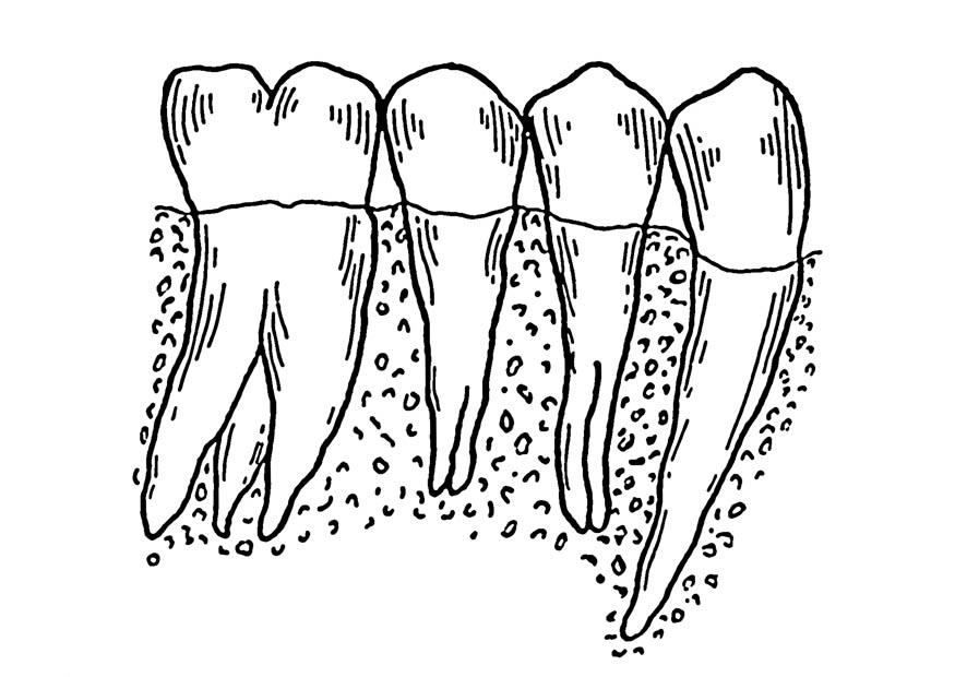 dentes Página para colorir dentes