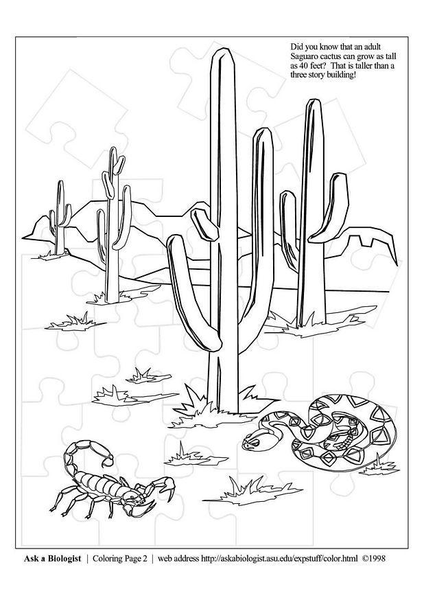 deserto Página para colorir deserto