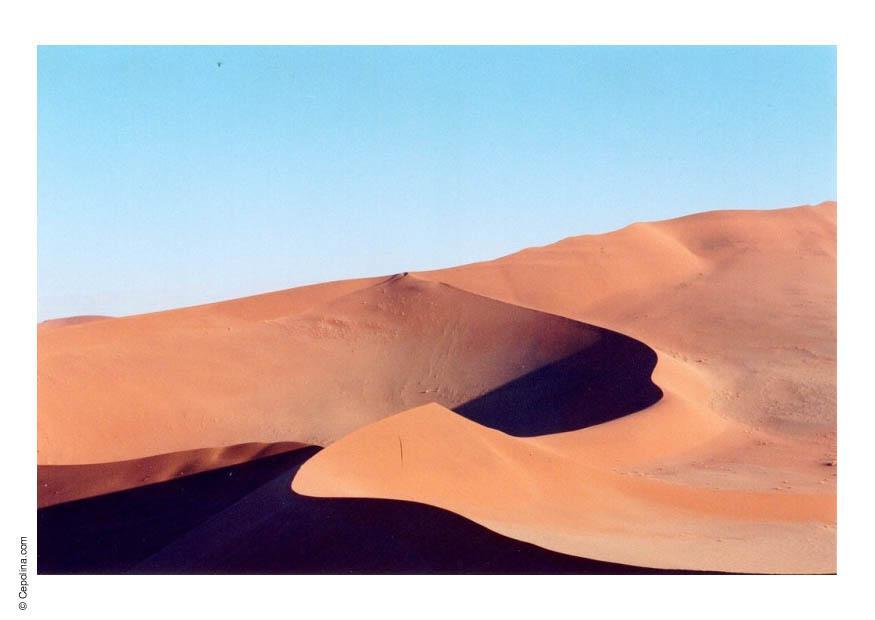 deserto Foto deserto