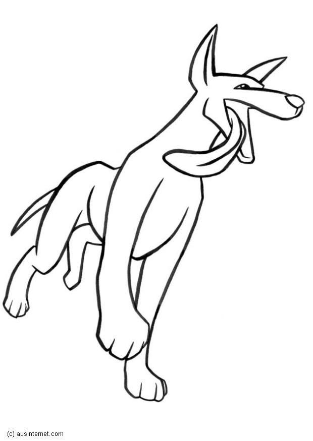 dingo Página para colorir dingo