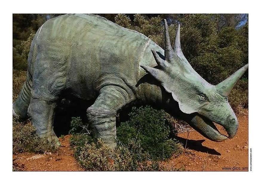 dinossauro Foto dinossauro