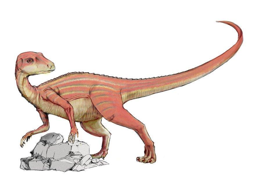 dinossauro abrictosaurus imagem dinossauro abrictosaurus